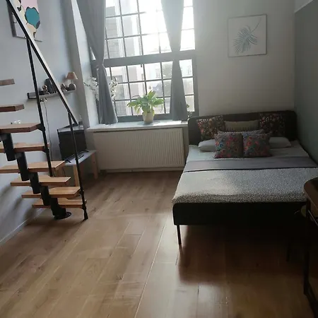 Hola Loft